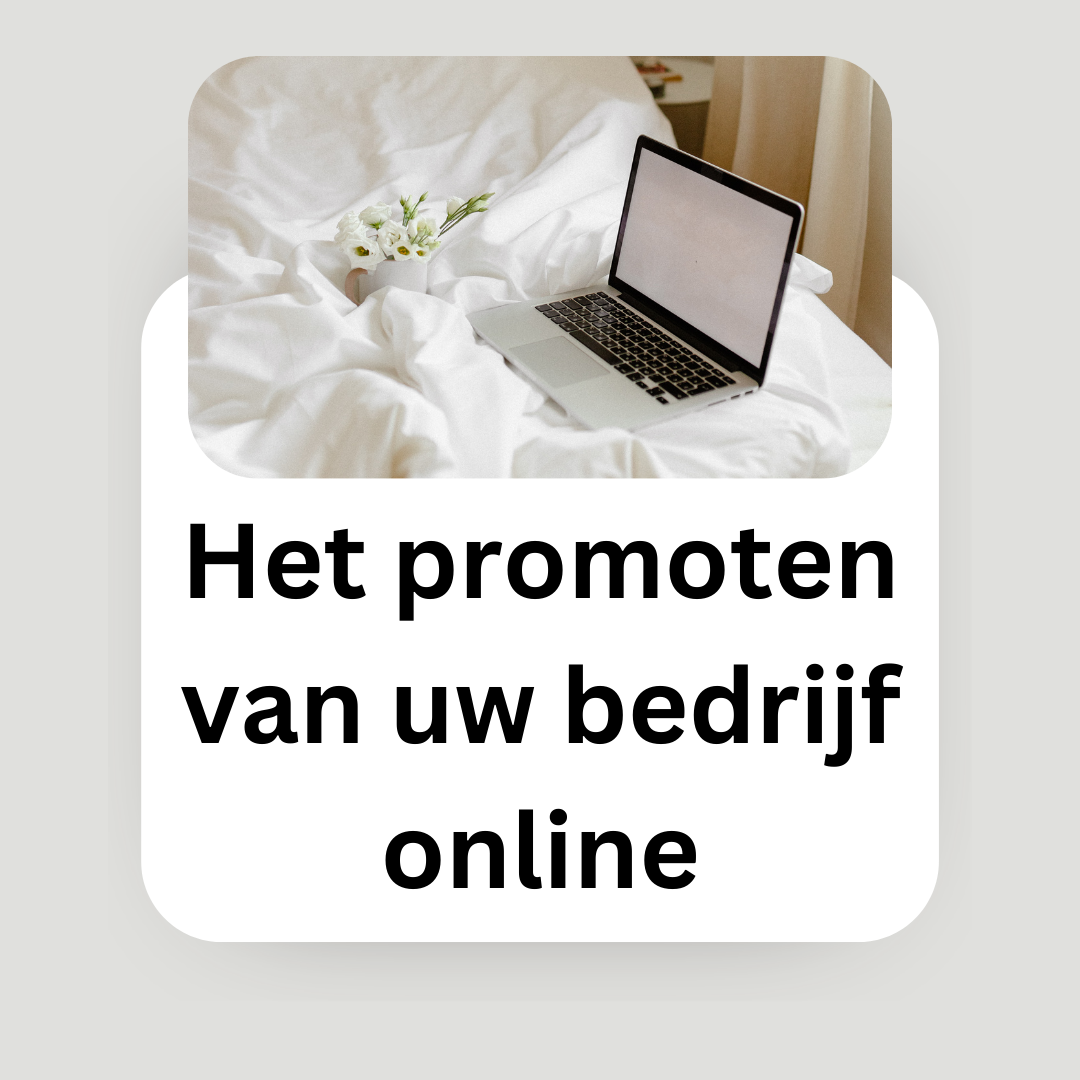 Het promoten van uw bedrijf online