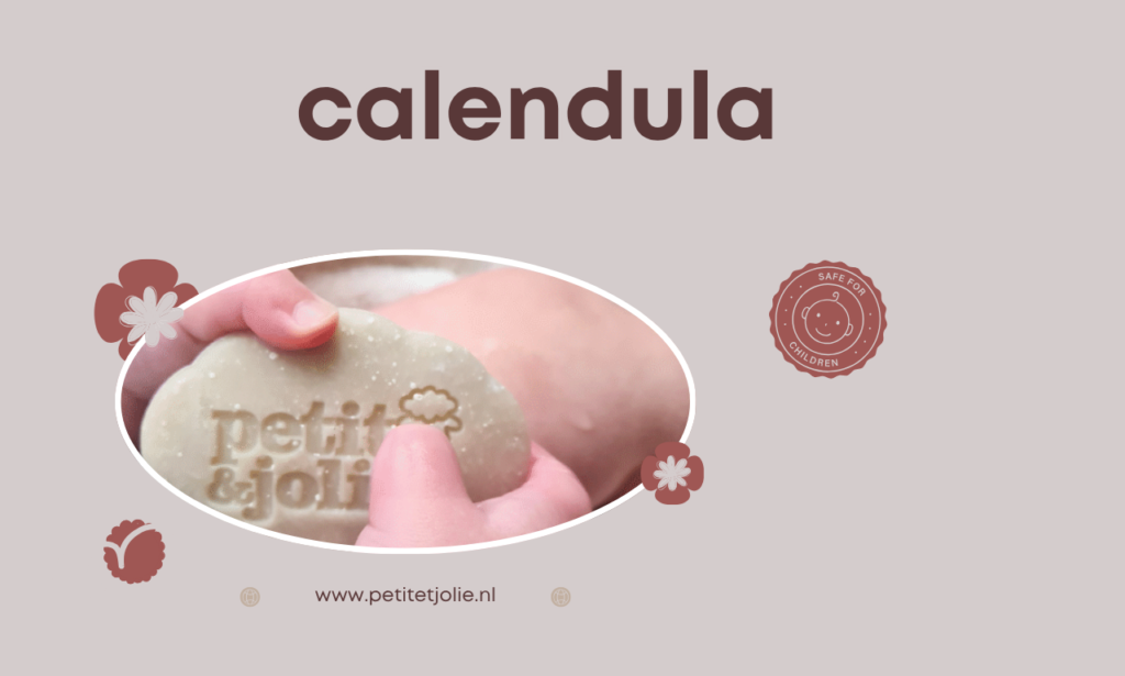 calendula