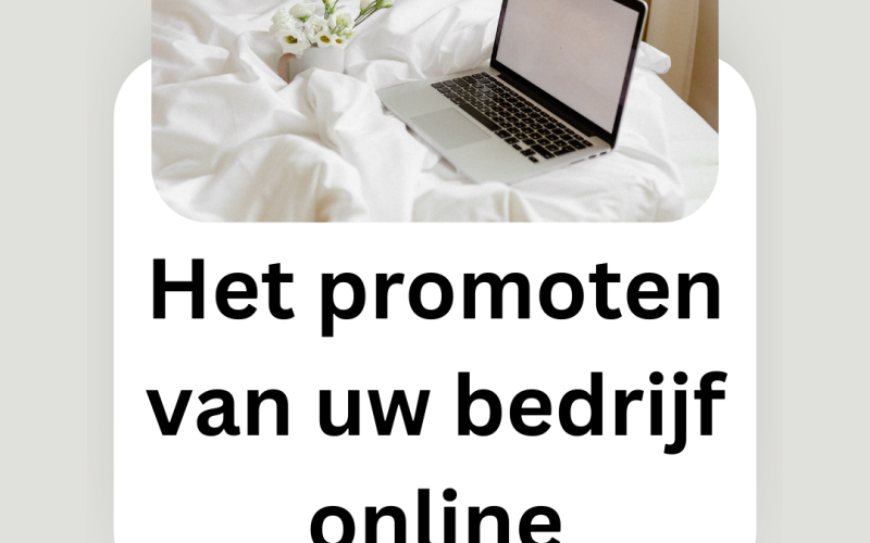 Het promoten van uw bedrijf online