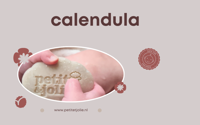 Calendula: Het Natuurlijke Ingrediënt Dat Niet Mag Ontbreken in Babyverzorging